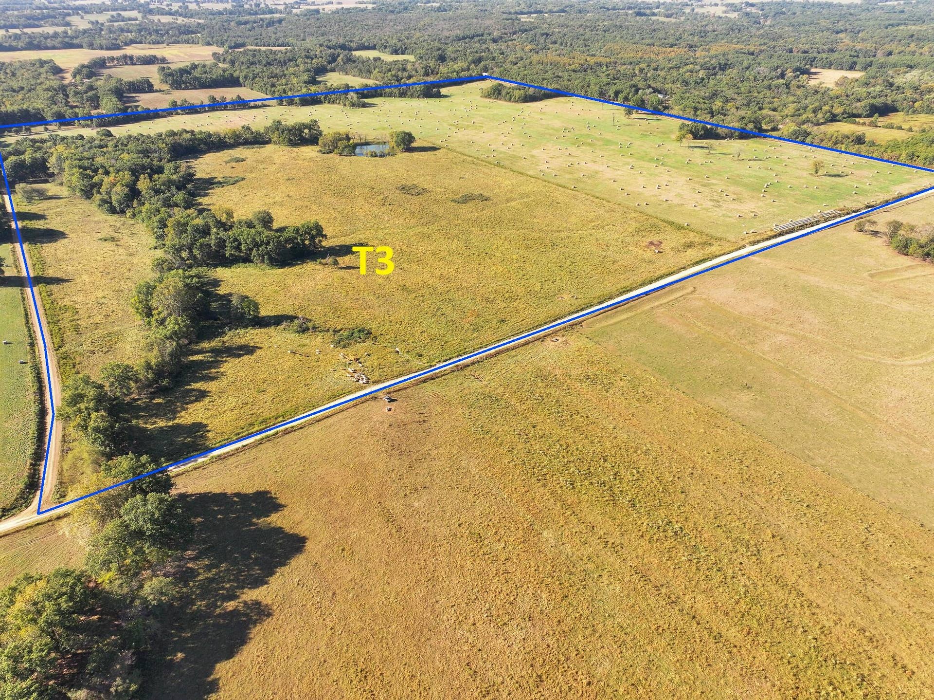 1460 Sw Hw 1460 Sw Hwy H, Appleton City, MO 64724 DJI_20261003231842_0834_D