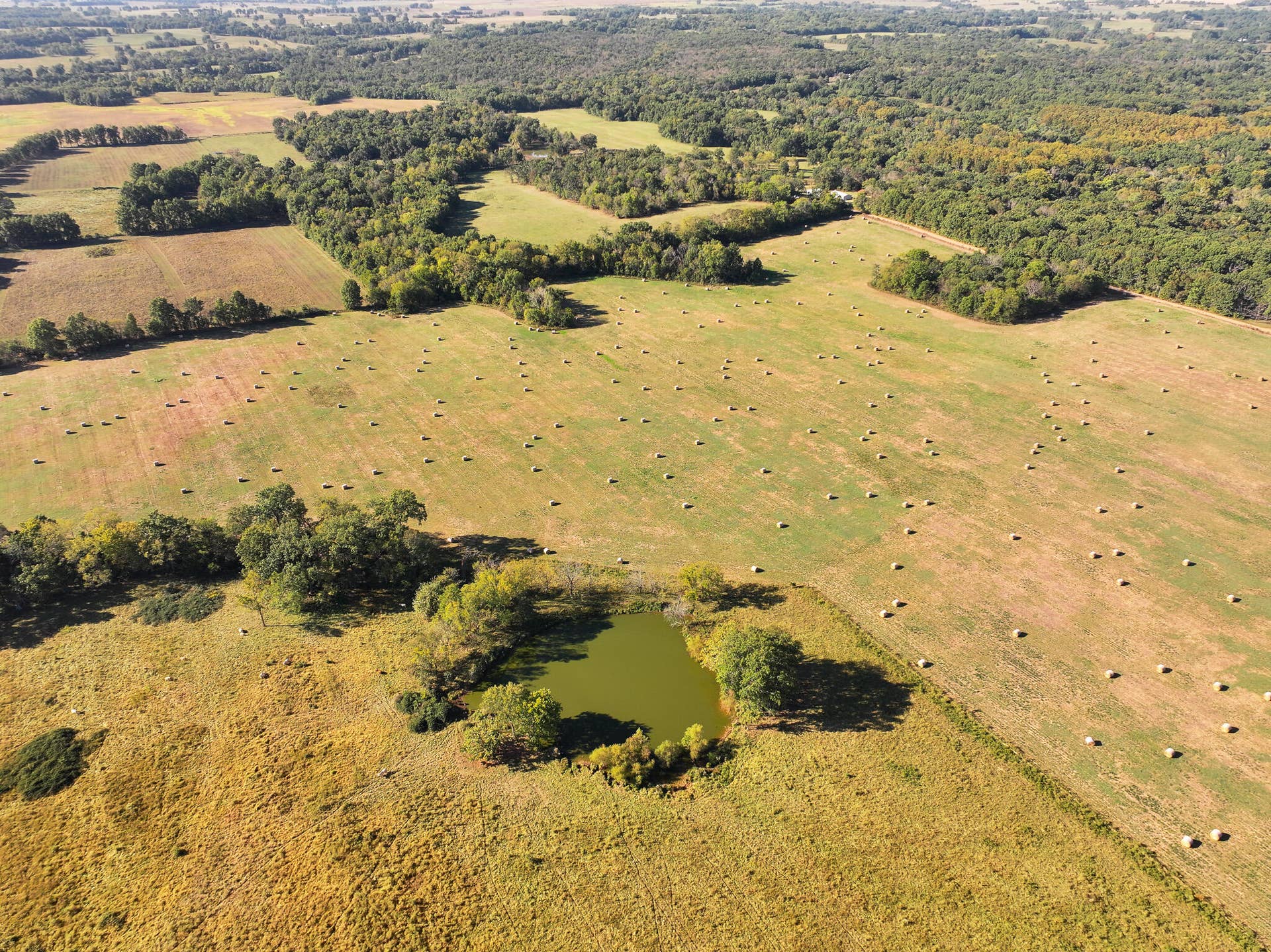1460 Sw Hw 1460 Sw Hwy H, Appleton City, MO 64724 DJI_20261003231932_0835_D