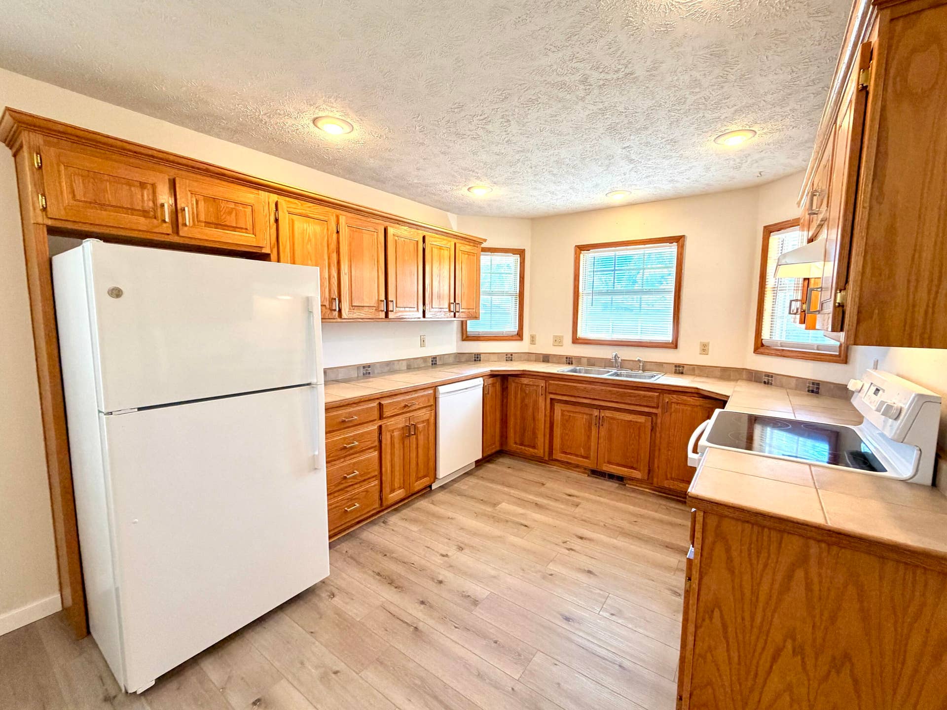 339 W Olive Street, Republic, MO 65738 Kitchen with all appliances included