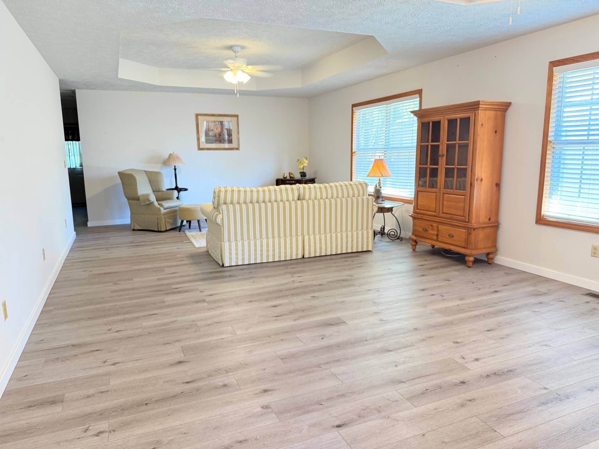 339 W Olive Street, Republic, MO 65738 living room:Dining area
