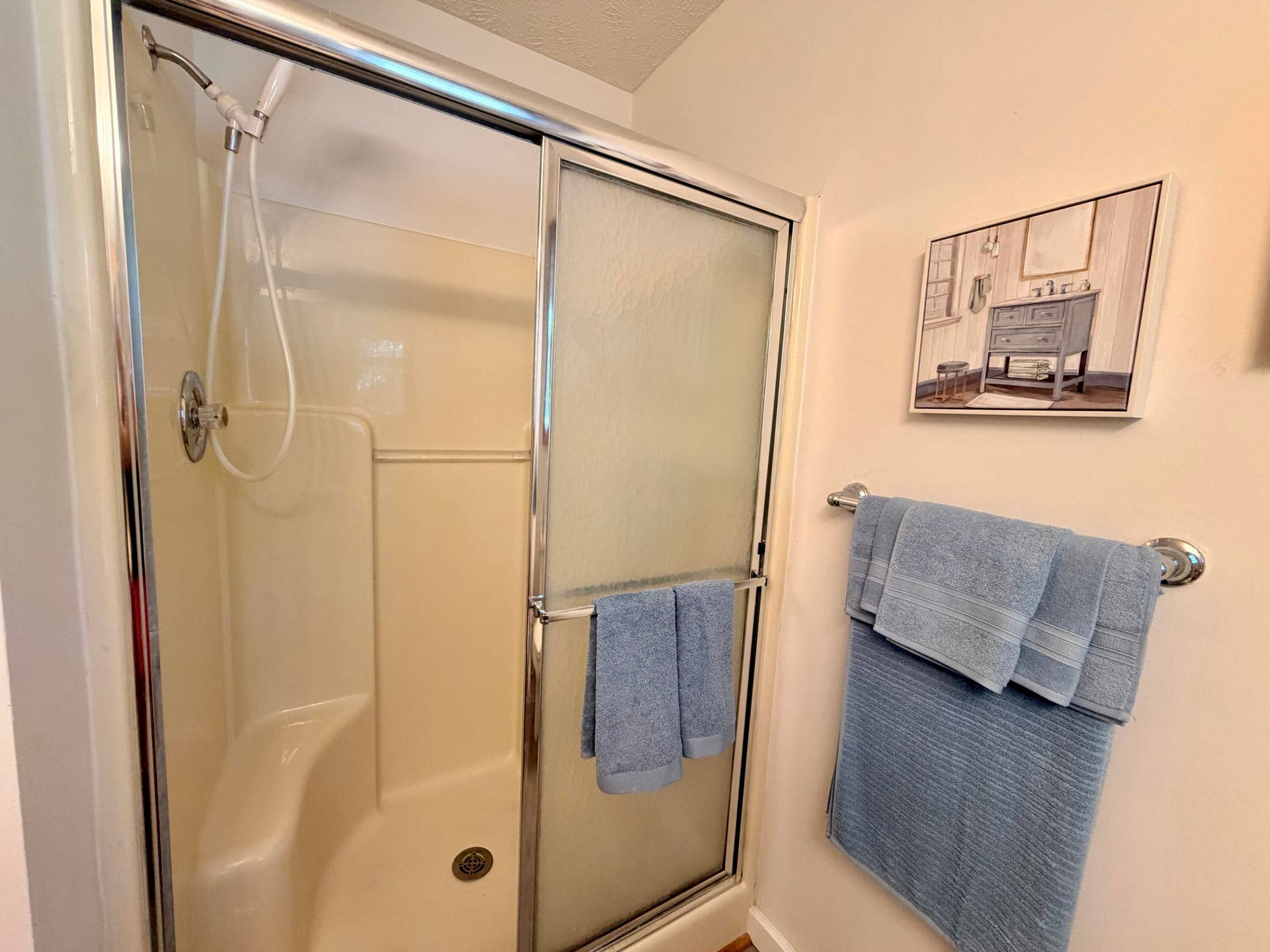 339 W Olive Street, Republic, MO 65738 step in shower in Primary Bathroom