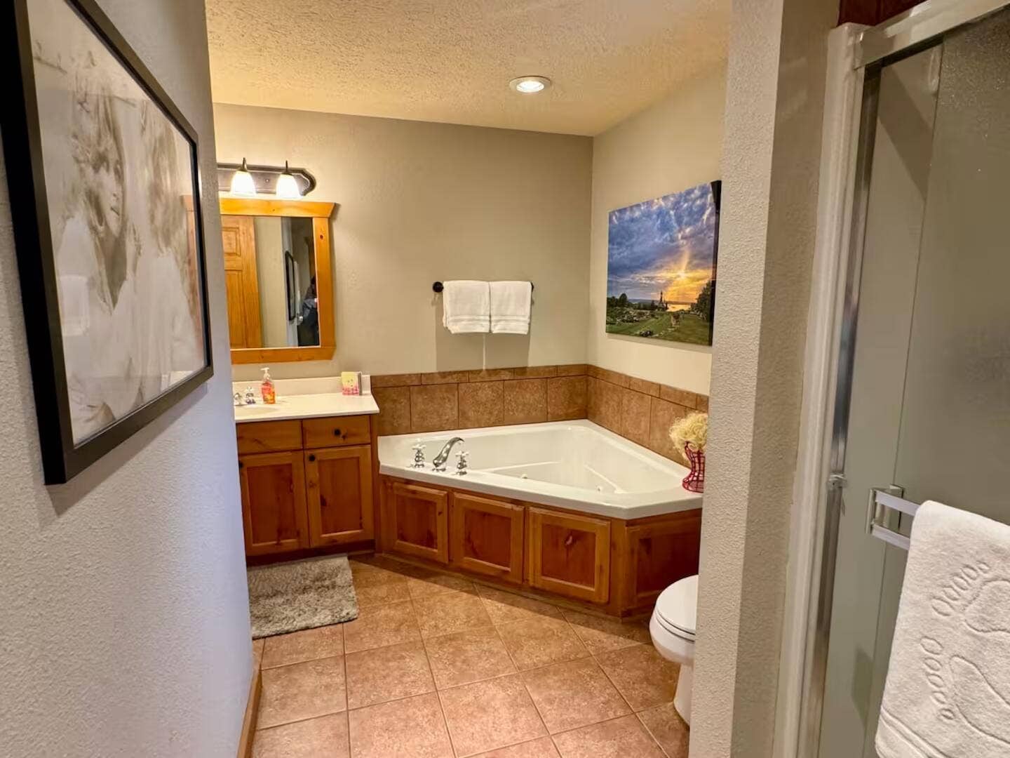 207 Cantwell Lane, #Cabin 77, Branson West, MO 65737 Alt view of secondary bathroom