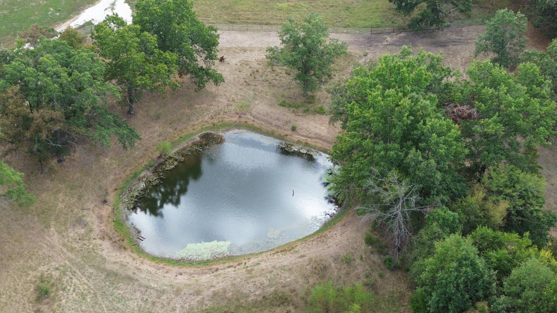 Pond 1