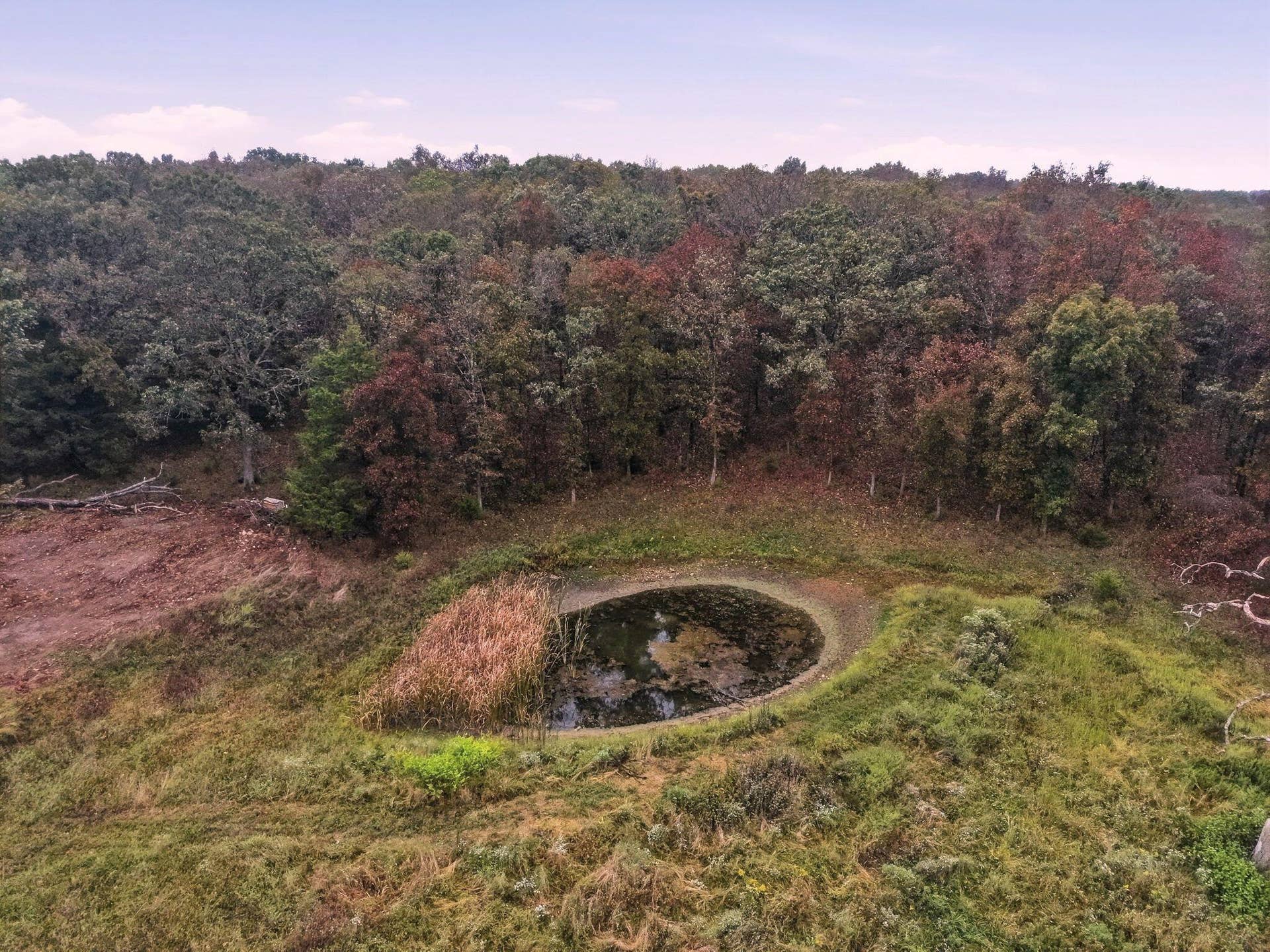 Pond 2