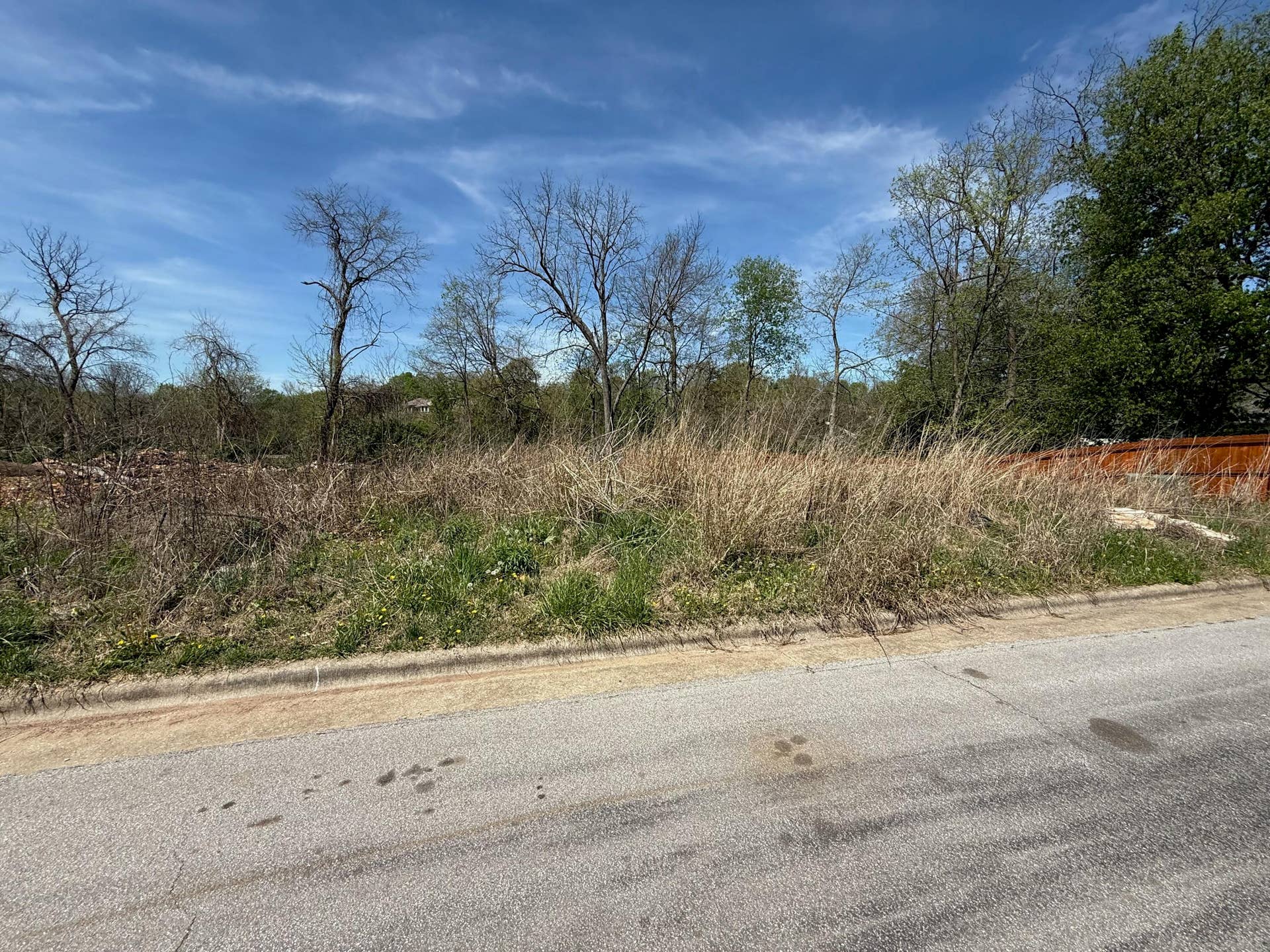 2745 S Meadowlark Avenue, Springfield, MO 65807 tempImage7BuQJu