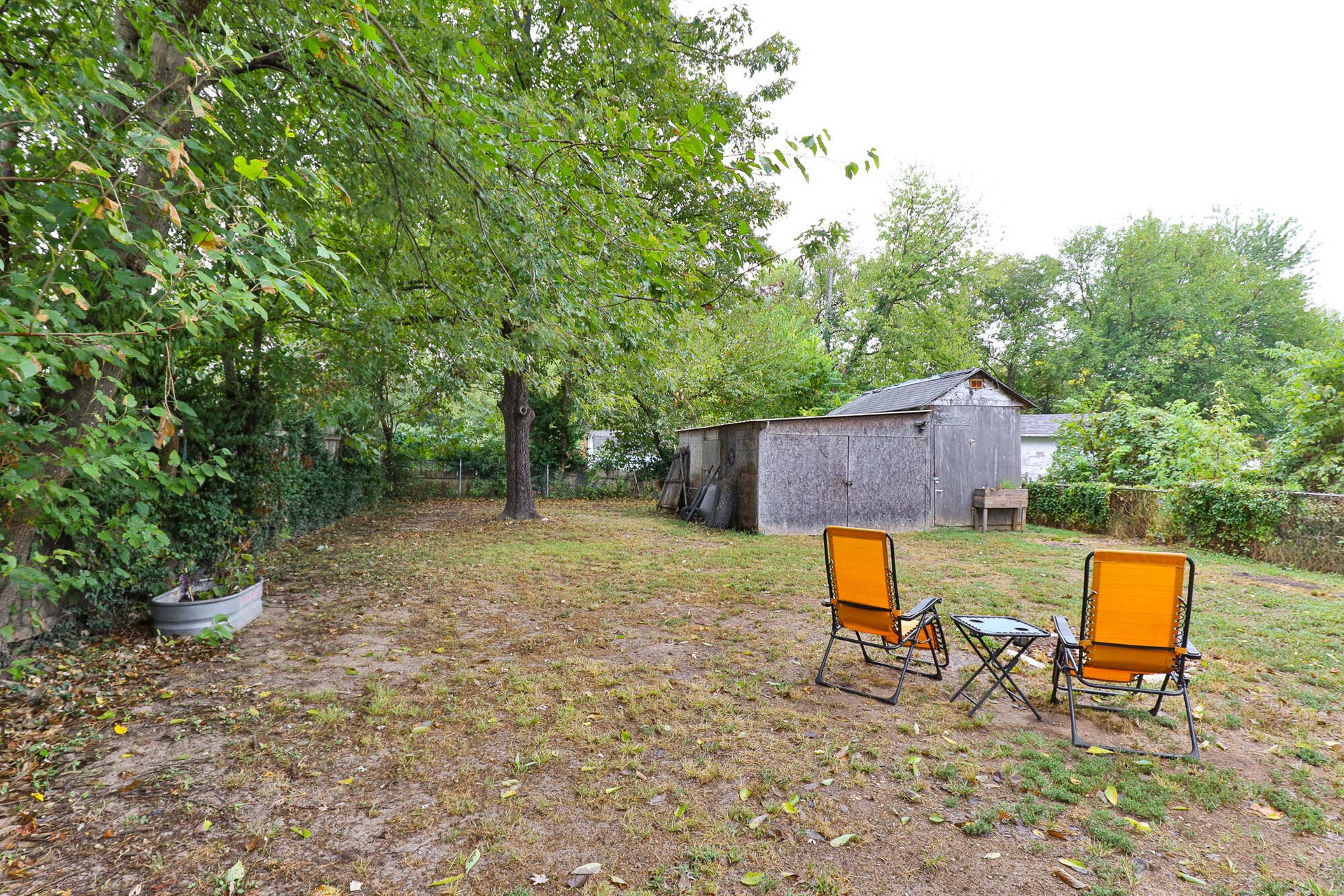 320 back yard 5