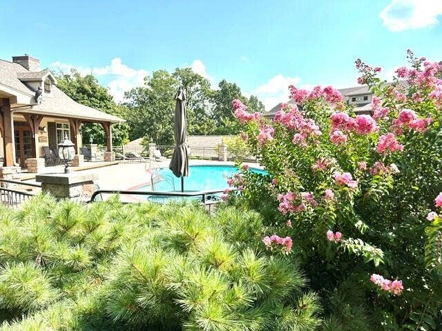53 Royal Vista Drive, #201, Branson, MO 65616 28