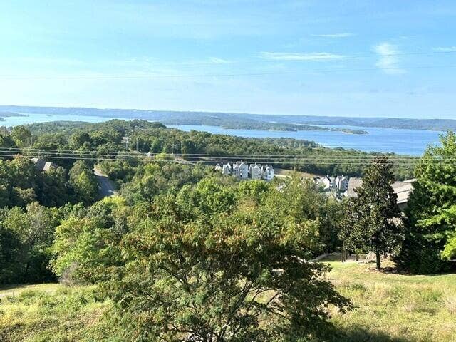 53 Royal Vista Drive, #201, Branson, MO 65616 3