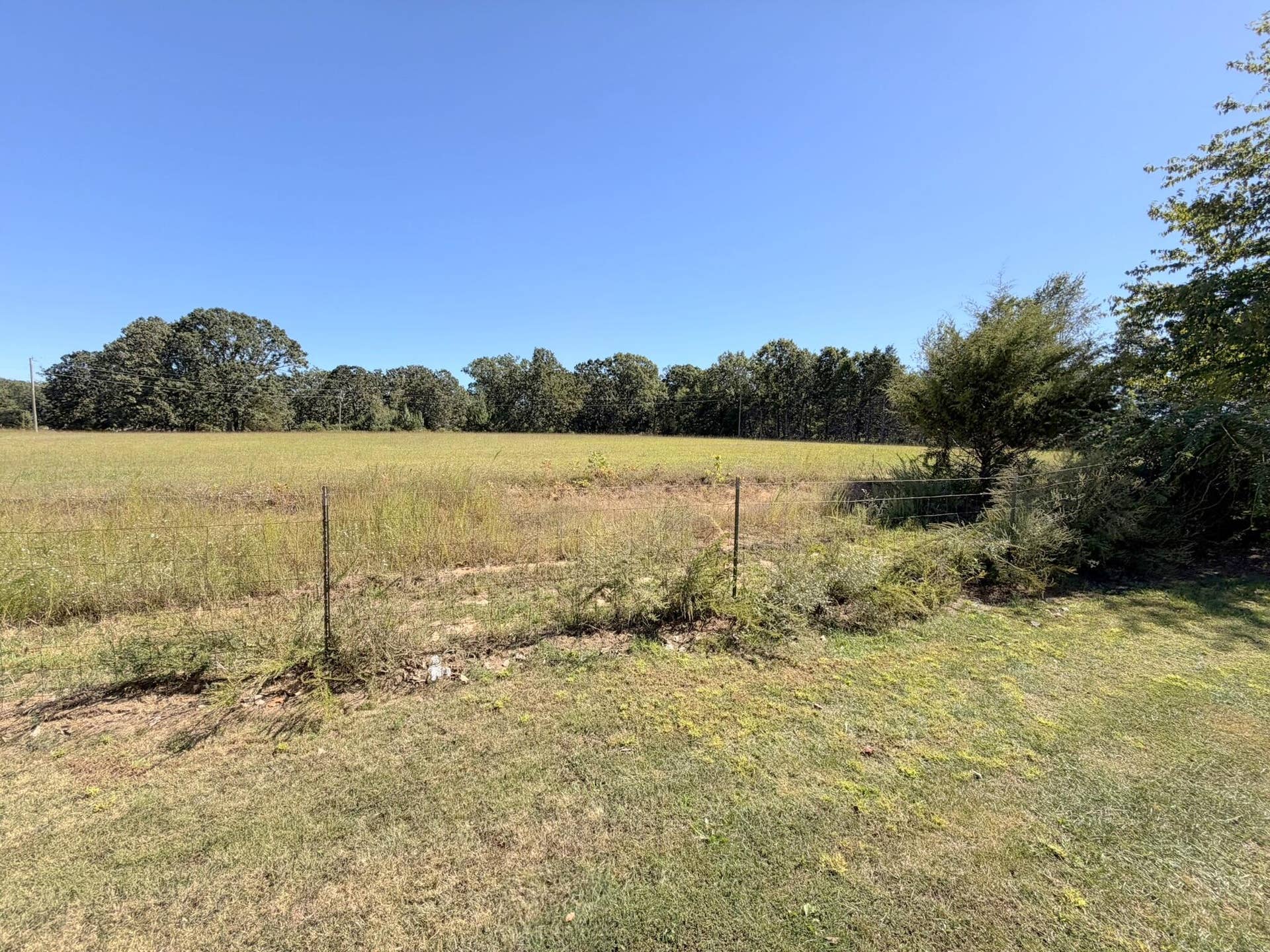 387 Fairoak Lane, Fordland, MO 65652 18-IMG_0056