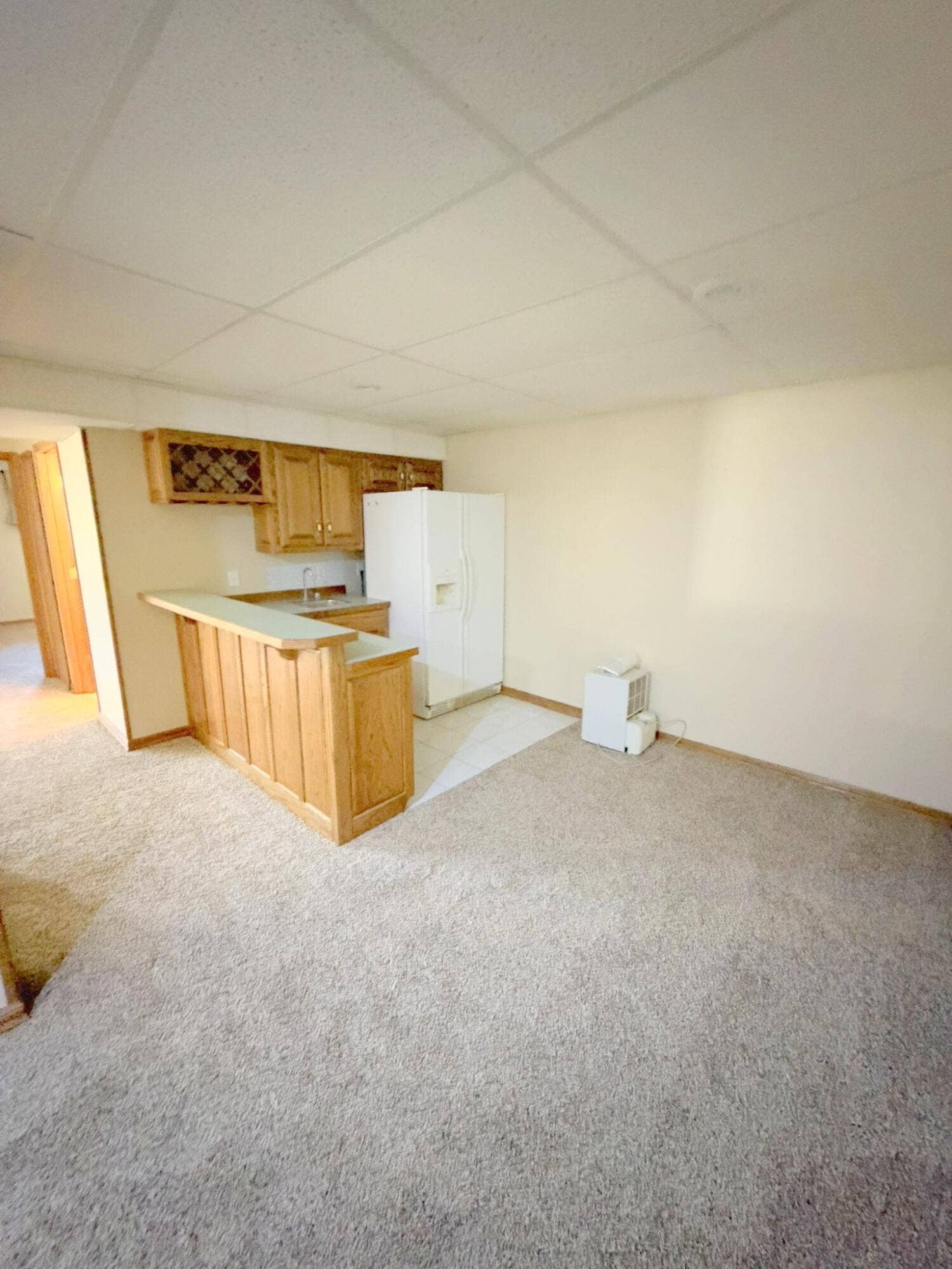 387 Fairoak Lane, Fordland, MO 65652 59-IMG_0105