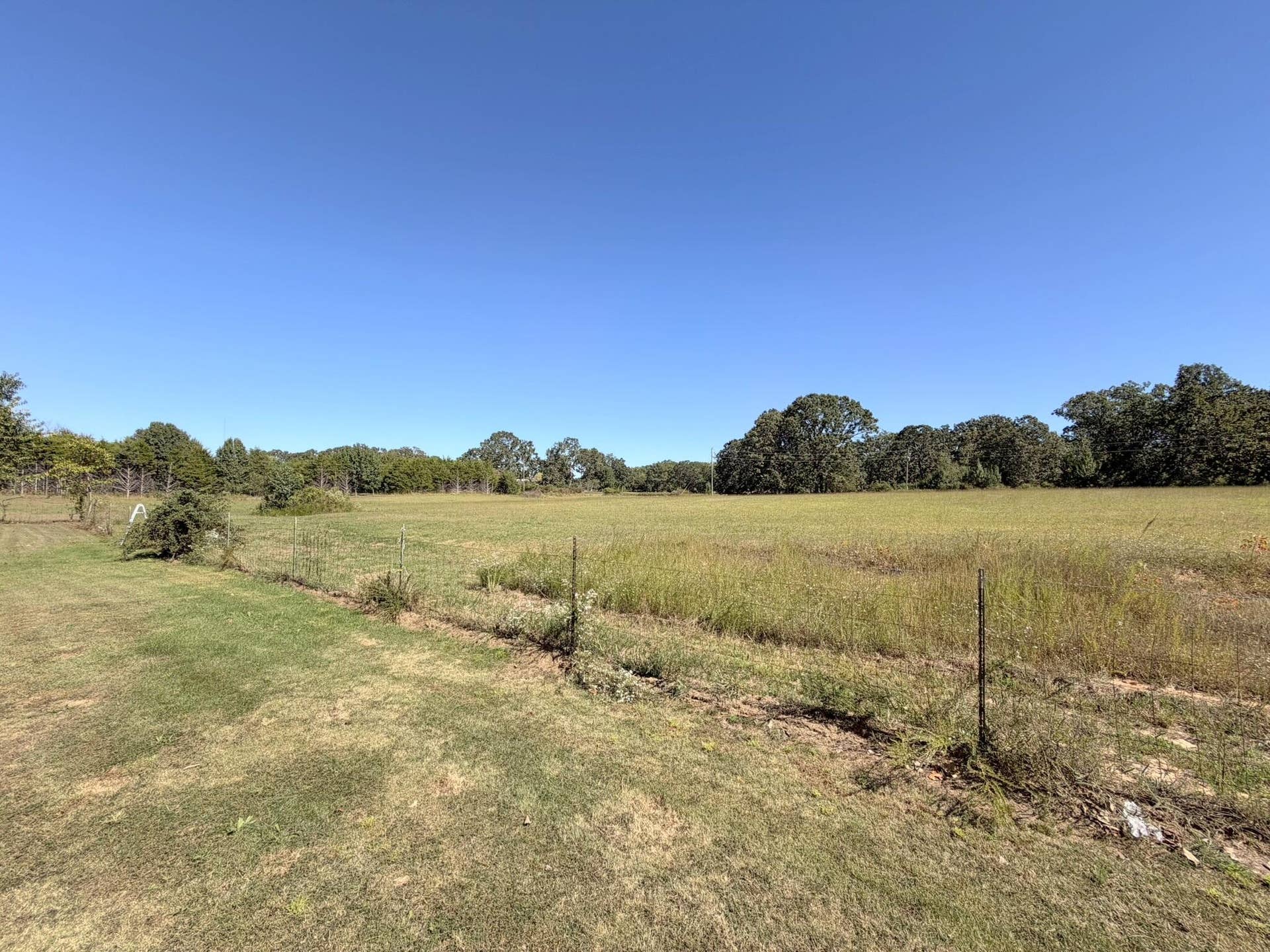 387 Fairoak Lane, Fordland, MO 65652 19-IMG_0057