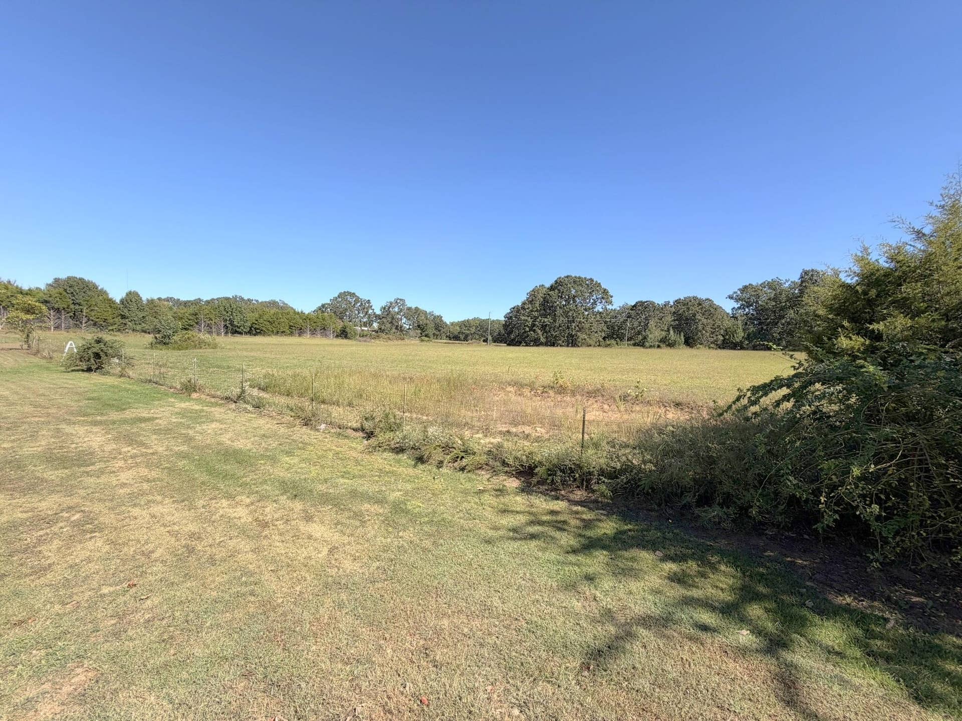 387 Fairoak Lane, Fordland, MO 65652 16-IMG_0054