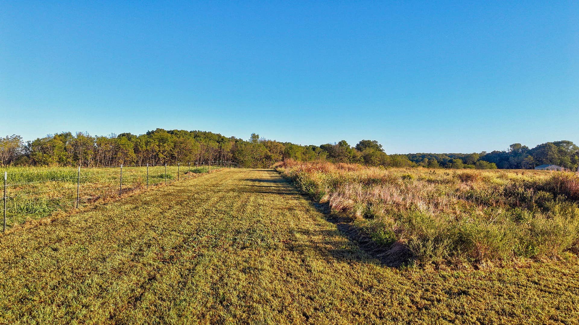 8.5 Acres Honeysuckle Road, Billings, MO 65610 large-01a110a4-189f-73a6-ade2-4424a65d7e