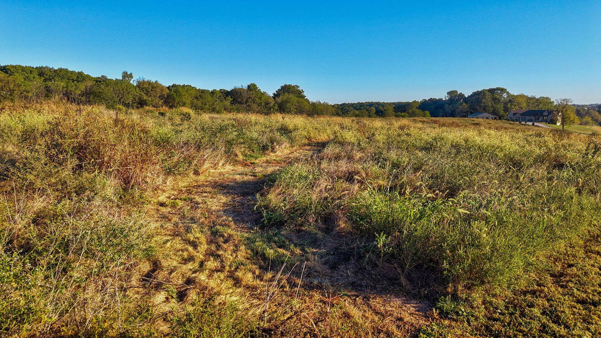 8.5 Acres Honeysuckle Road, Billings, MO 65610 large-01a110a4-1974-7347-aa67-ace541822f