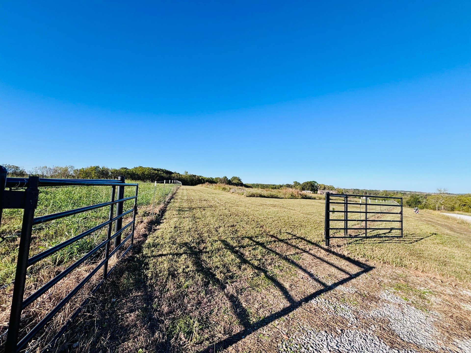 8.5 Acres Honeysuckle Road, Billings, MO 65610 IMG_8725