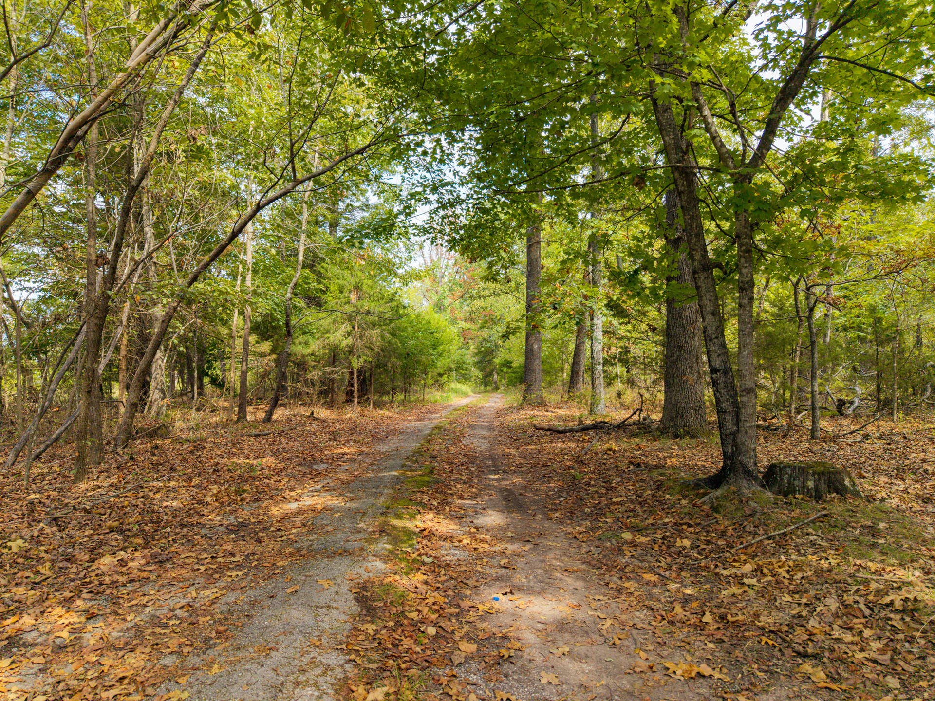 2088 Hwy JJ-32