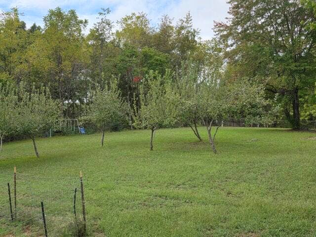 1549 Cox Lane South Harrison, AR (13)