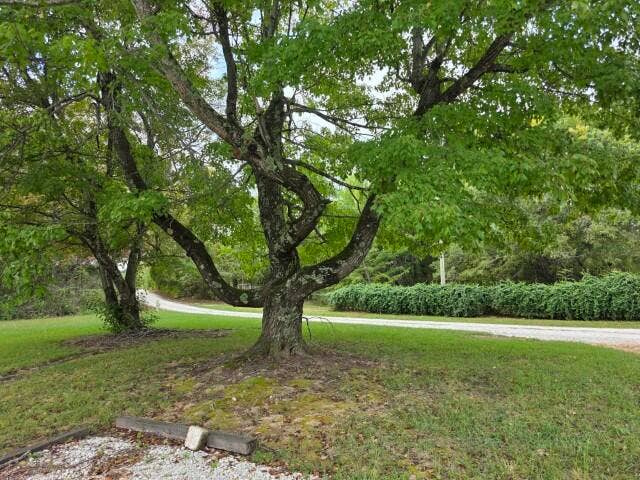 1549 Cox Lane South Harrison, AR (22)