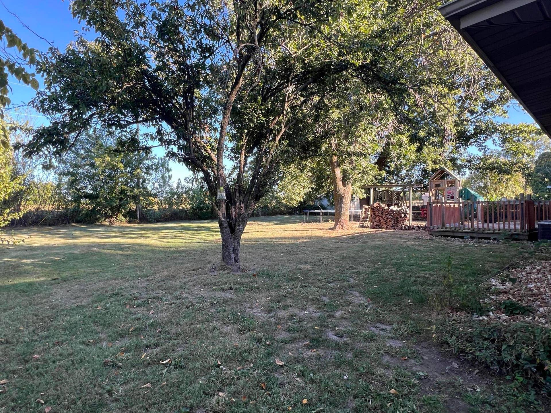 6290 N Alan Avenue, Willard, MO 65781 Backyard