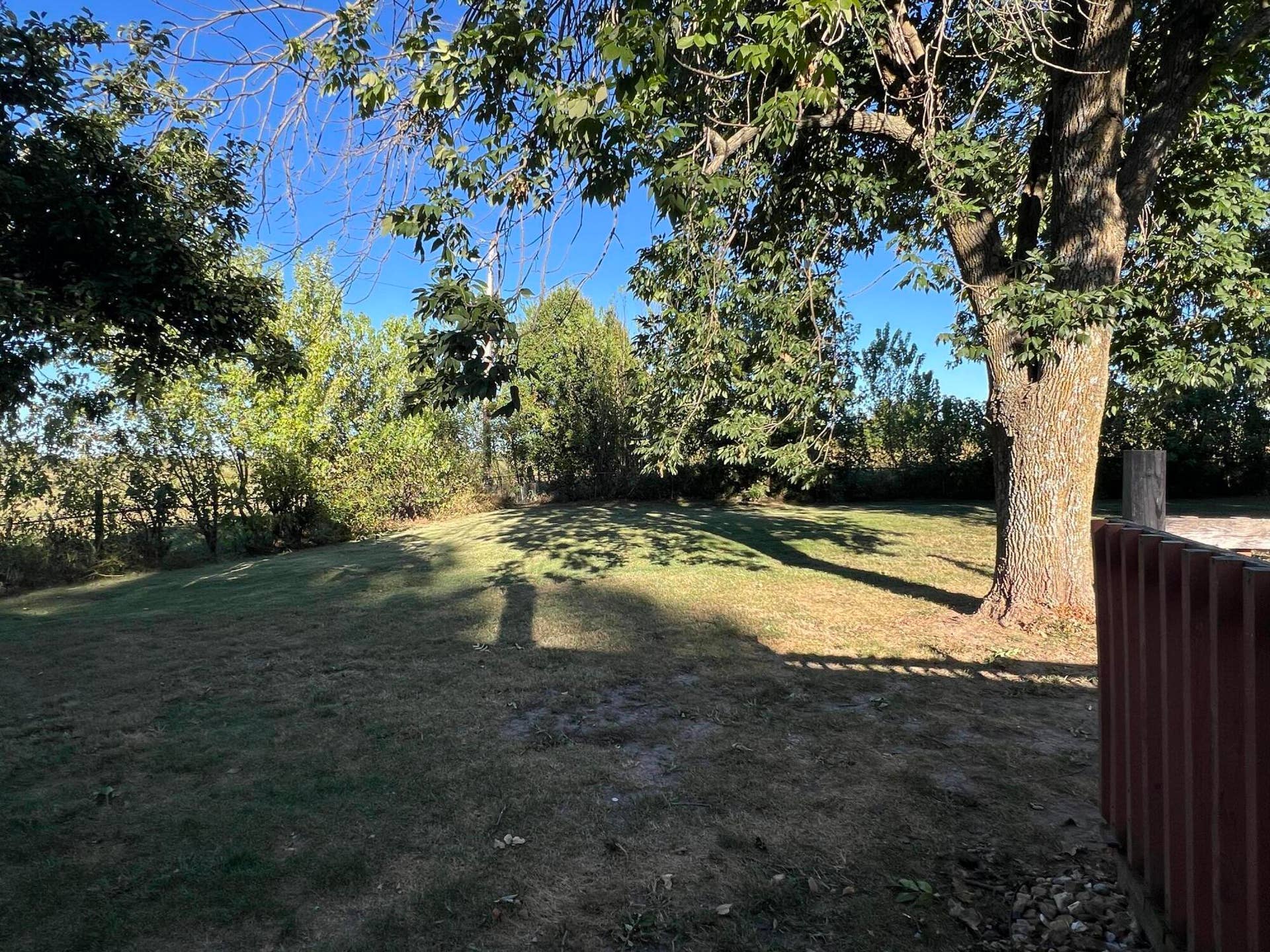 6290 N Alan Avenue, Willard, MO 65781 Backyard