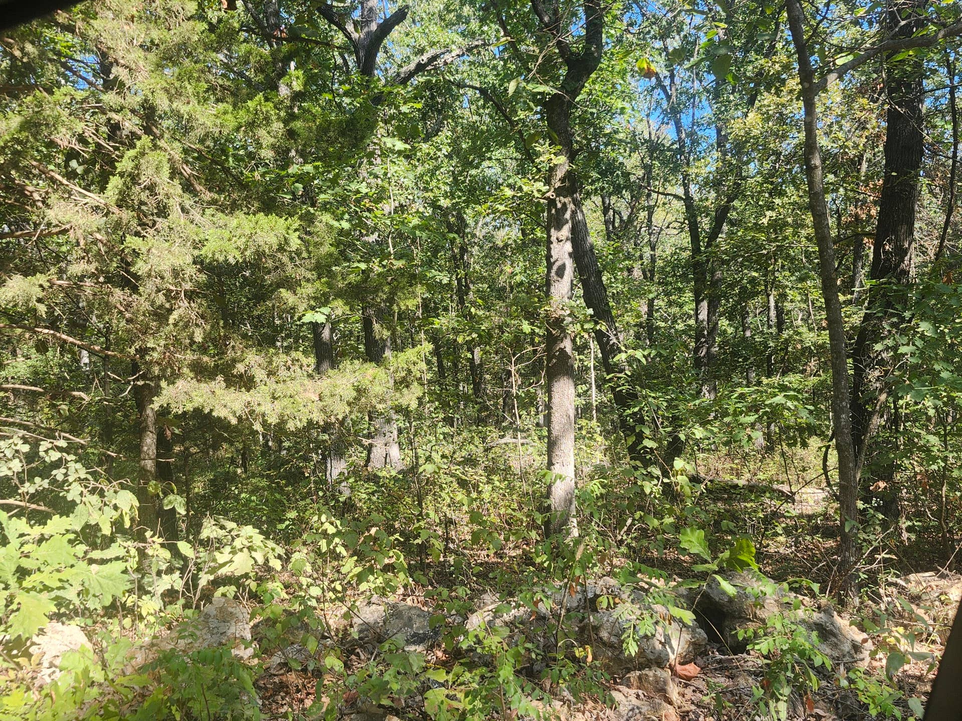 13239 County Road 290, Flemington, MO 65650 20260928_112749