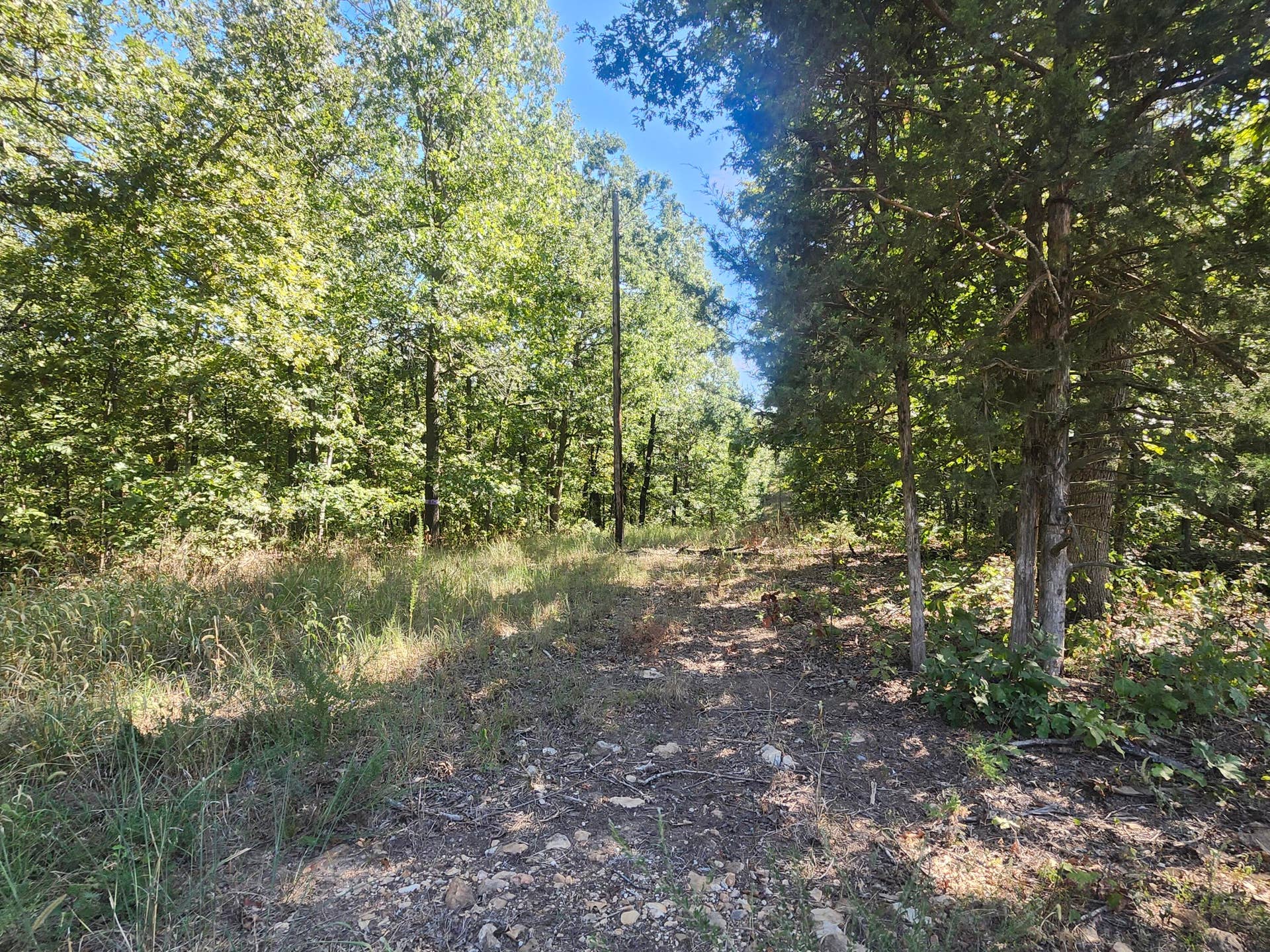 13239 County Road 290, Flemington, MO 65650 20260928_112416