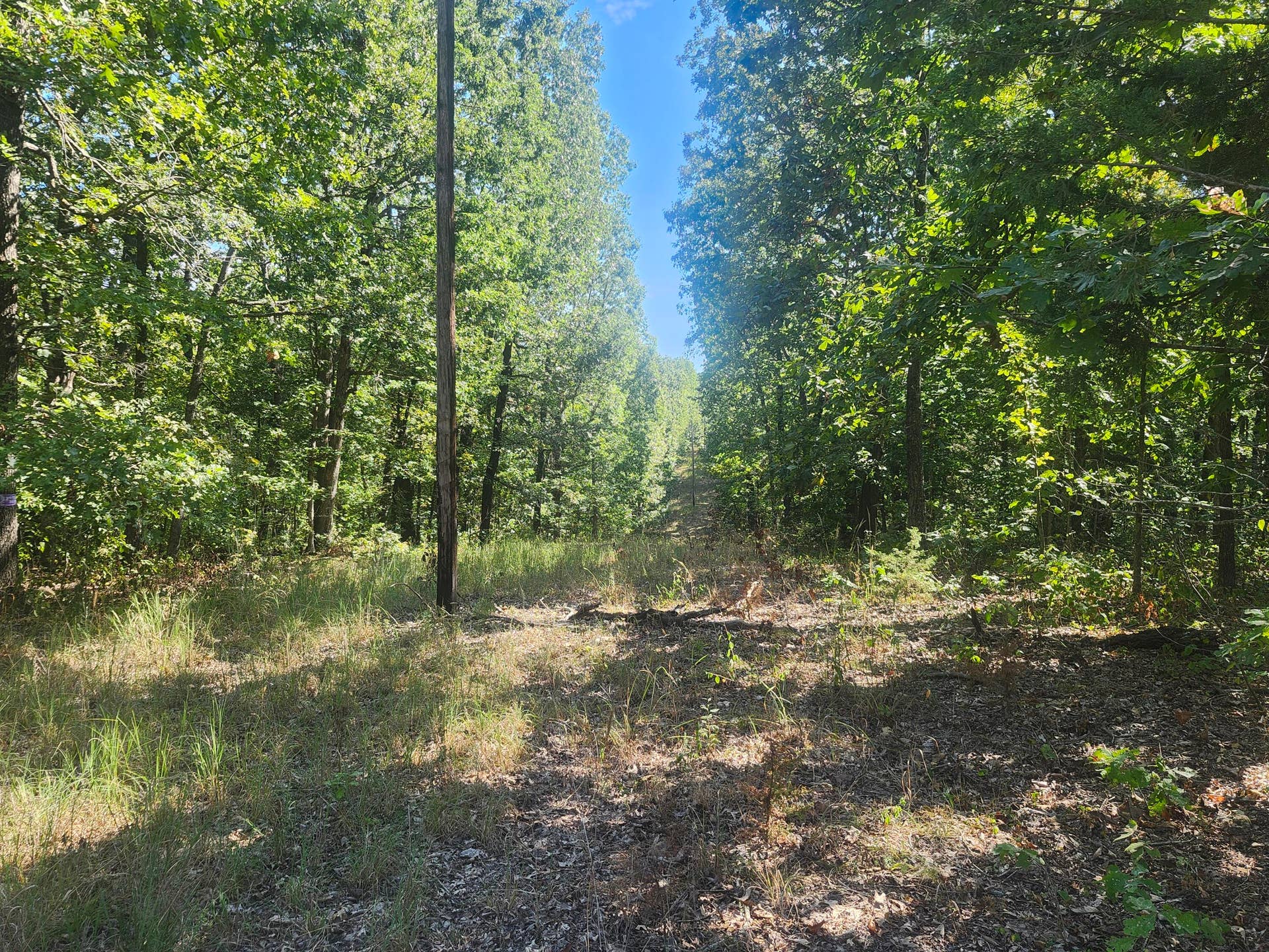 13239 County Road 290, Flemington, MO 65650 20260928_112320