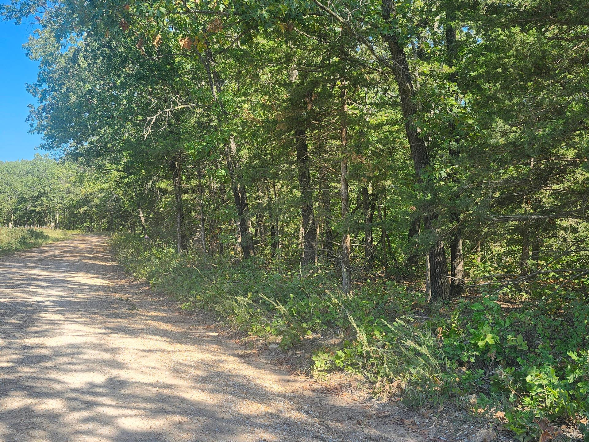 13239 County Road 290, Flemington, MO 65650 20260928_112124