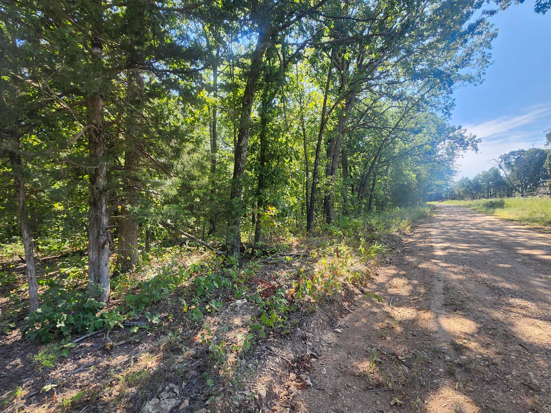 13239 County Road 290, Flemington, MO 65650 20260928_112424