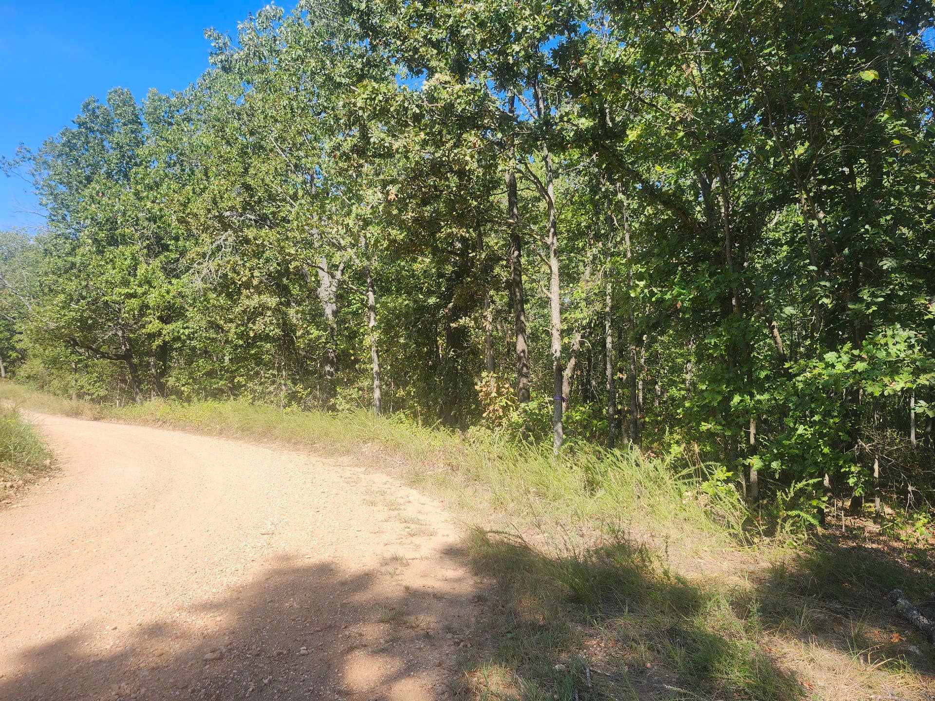 13239 County Road 290, Flemington, MO 65650 20260928_112259