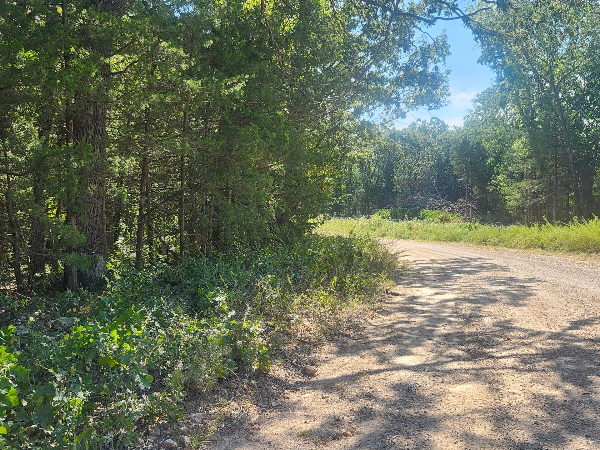 13239 County Road 290, Flemington, MO 65650 20260928_112109