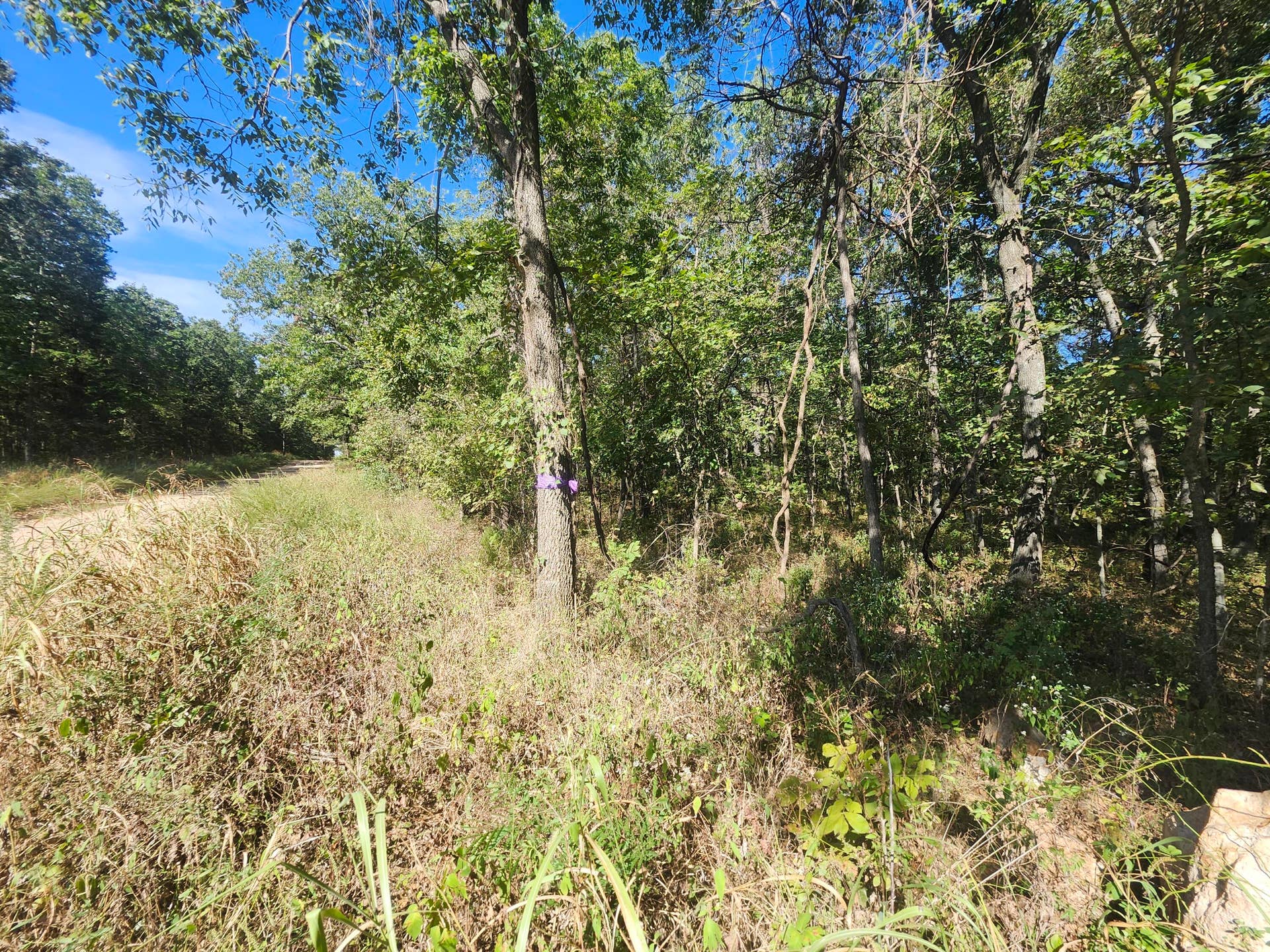 13239 County Road 290, Flemington, MO 65650 20260928_112629