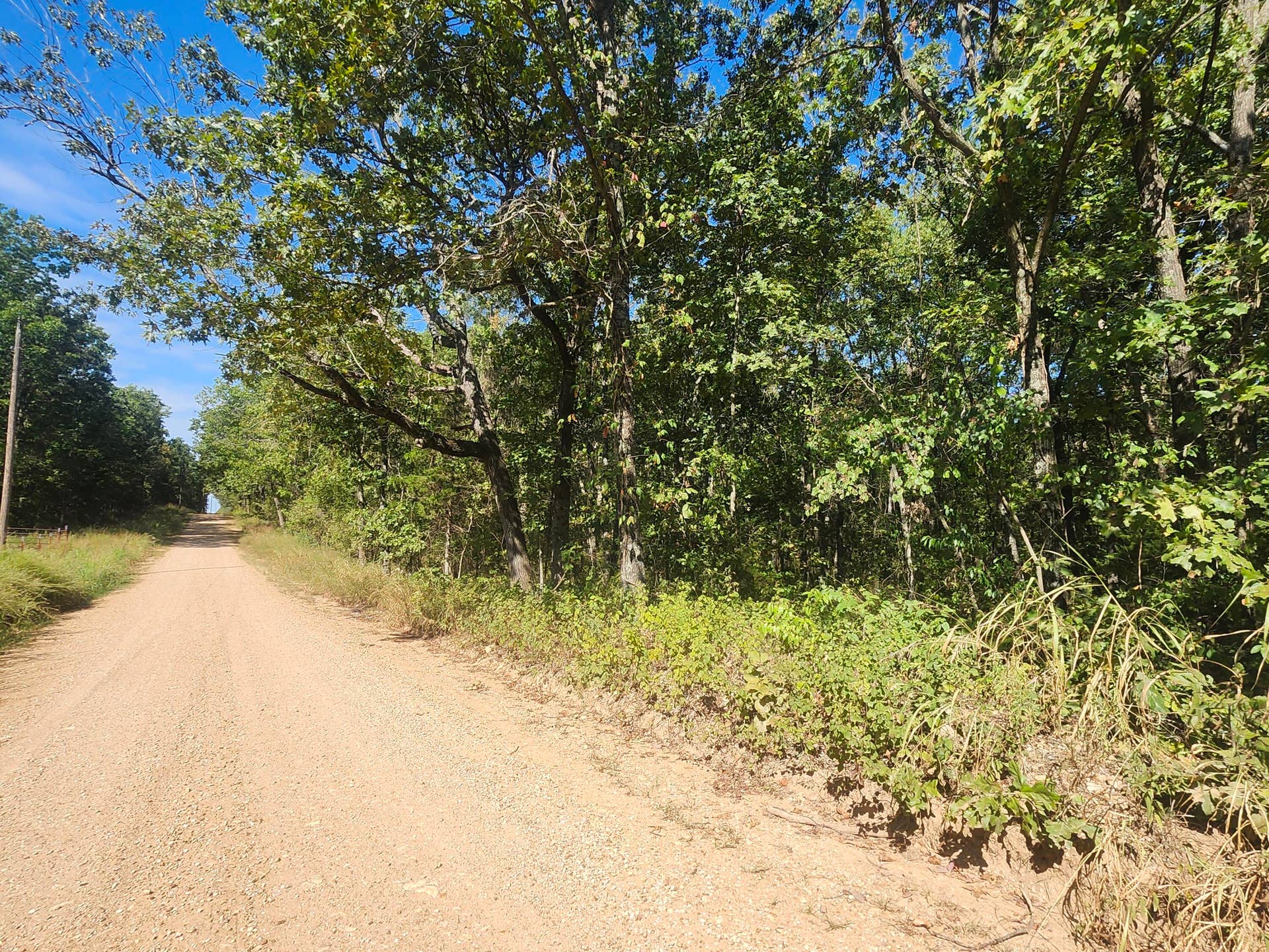 13239 County Road 290, Flemington, MO 65650 20260928_112509