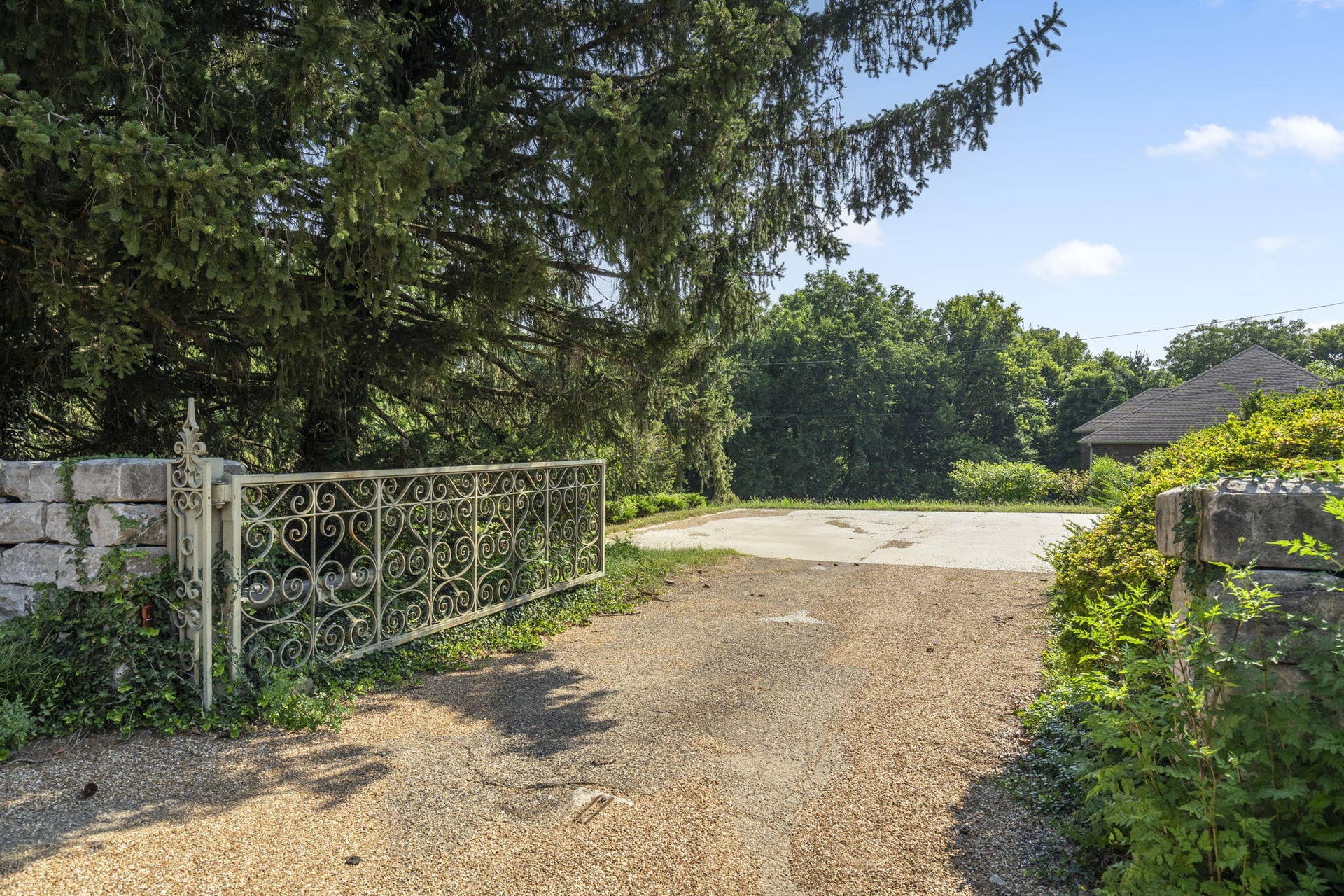 54-web-or-mls-DSC03054