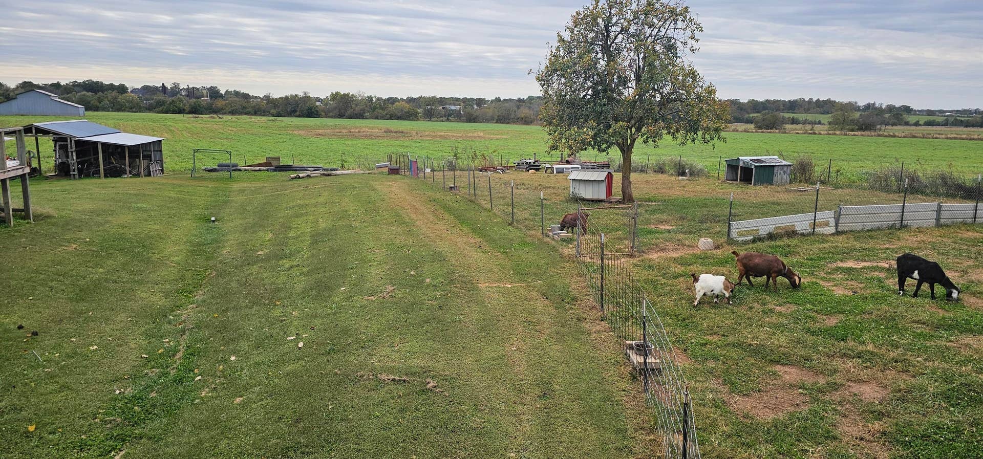 6604 County Road 8240, West Plains, MO 65775 20241015_123352