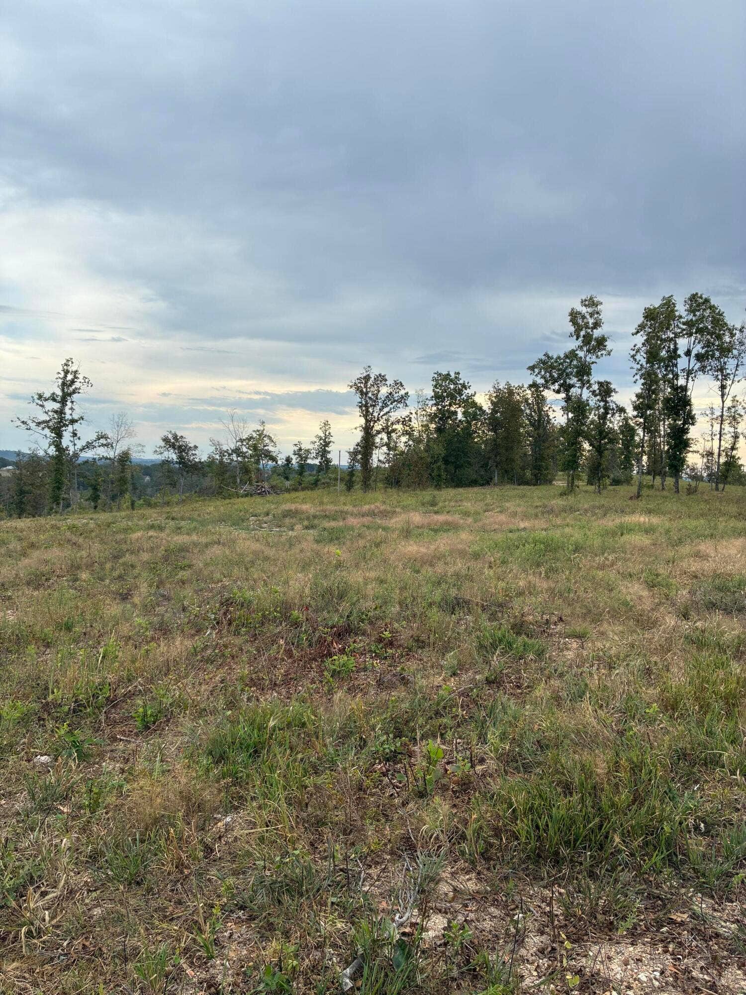 Highway 76 E Route 2, Ava, MO 65608 IMG_4567