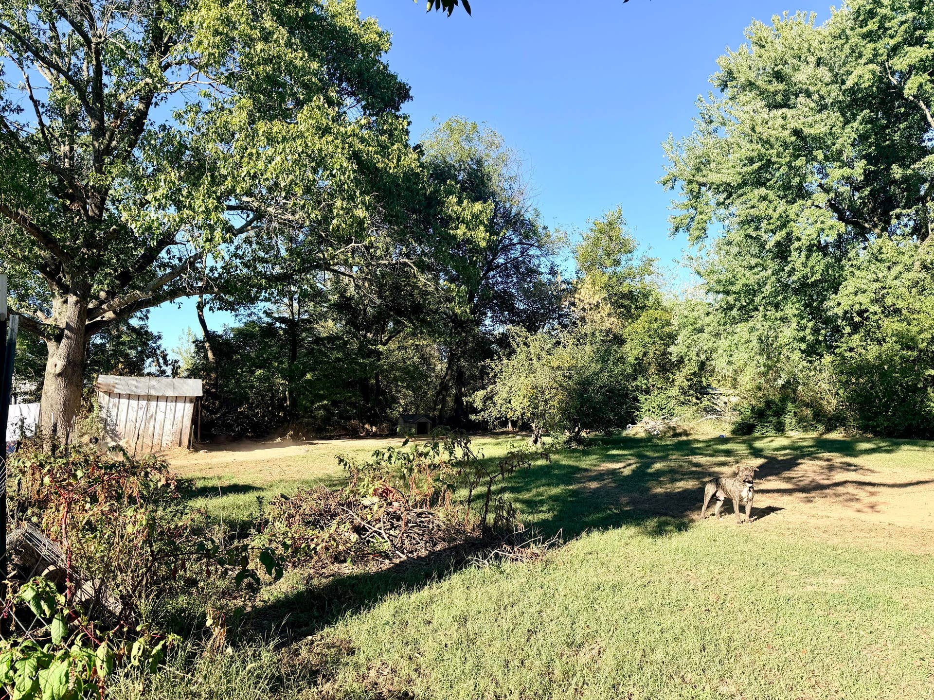 237 W School Street, Everton, MO 65646 IMG_8872
