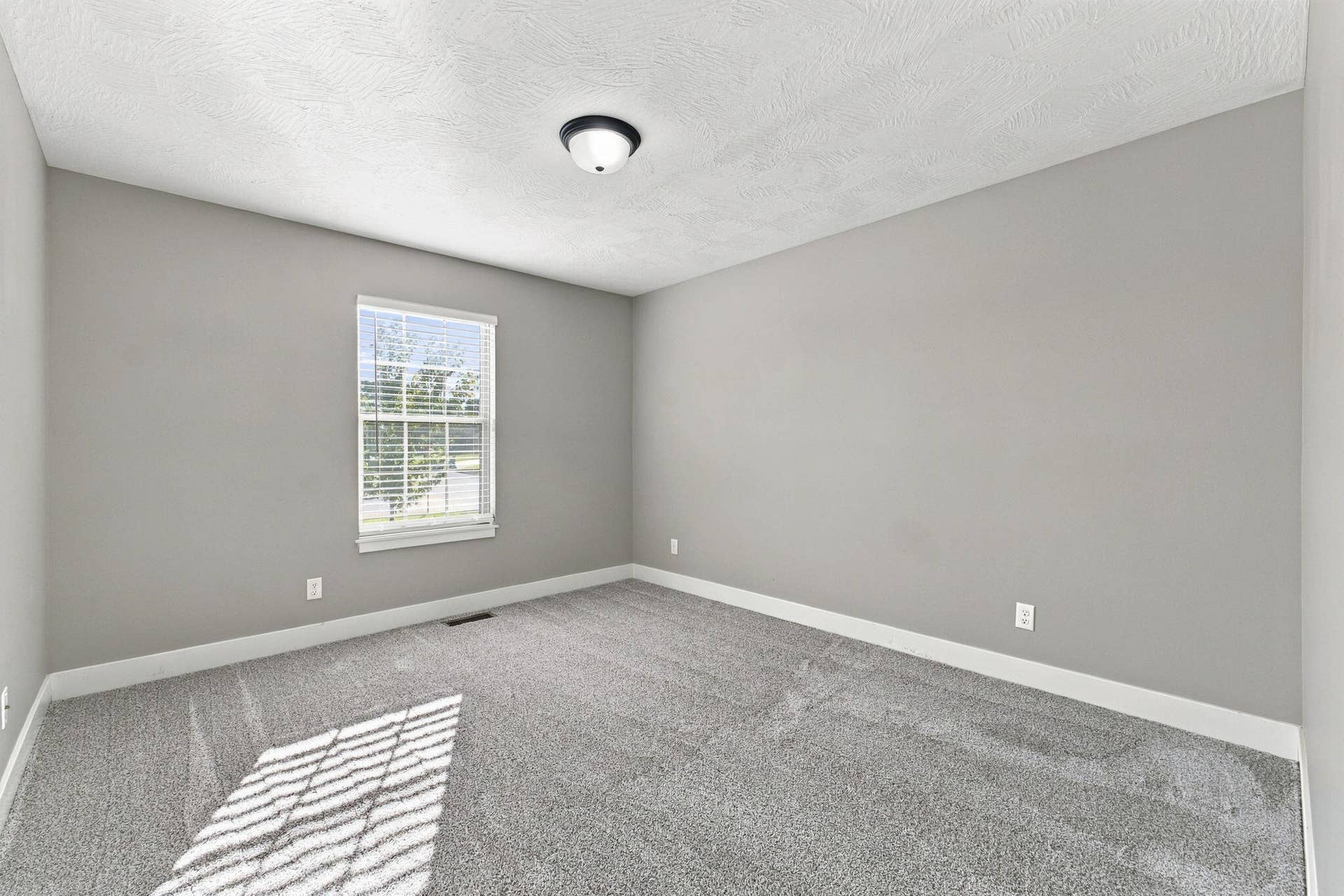 Freshly painted & new carpet in bedroom