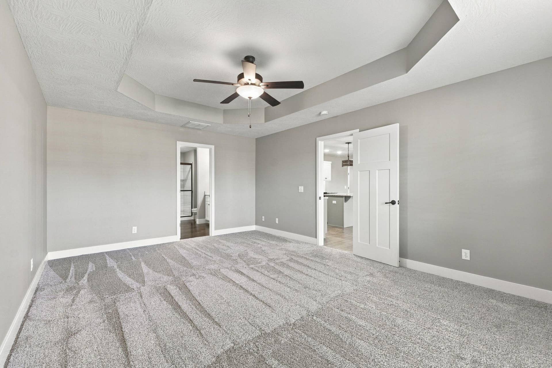 Tray ceilings & new carpet in primary bd