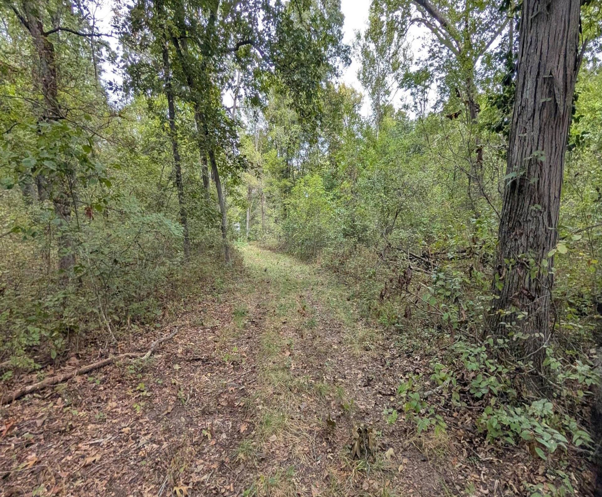 PXL_20260921_174141466