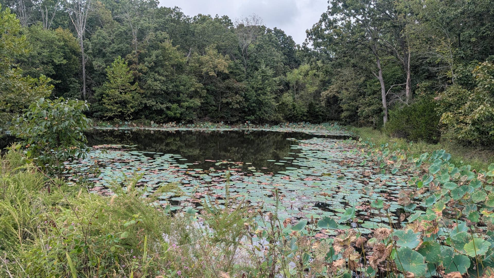PXL_20260921_183406528