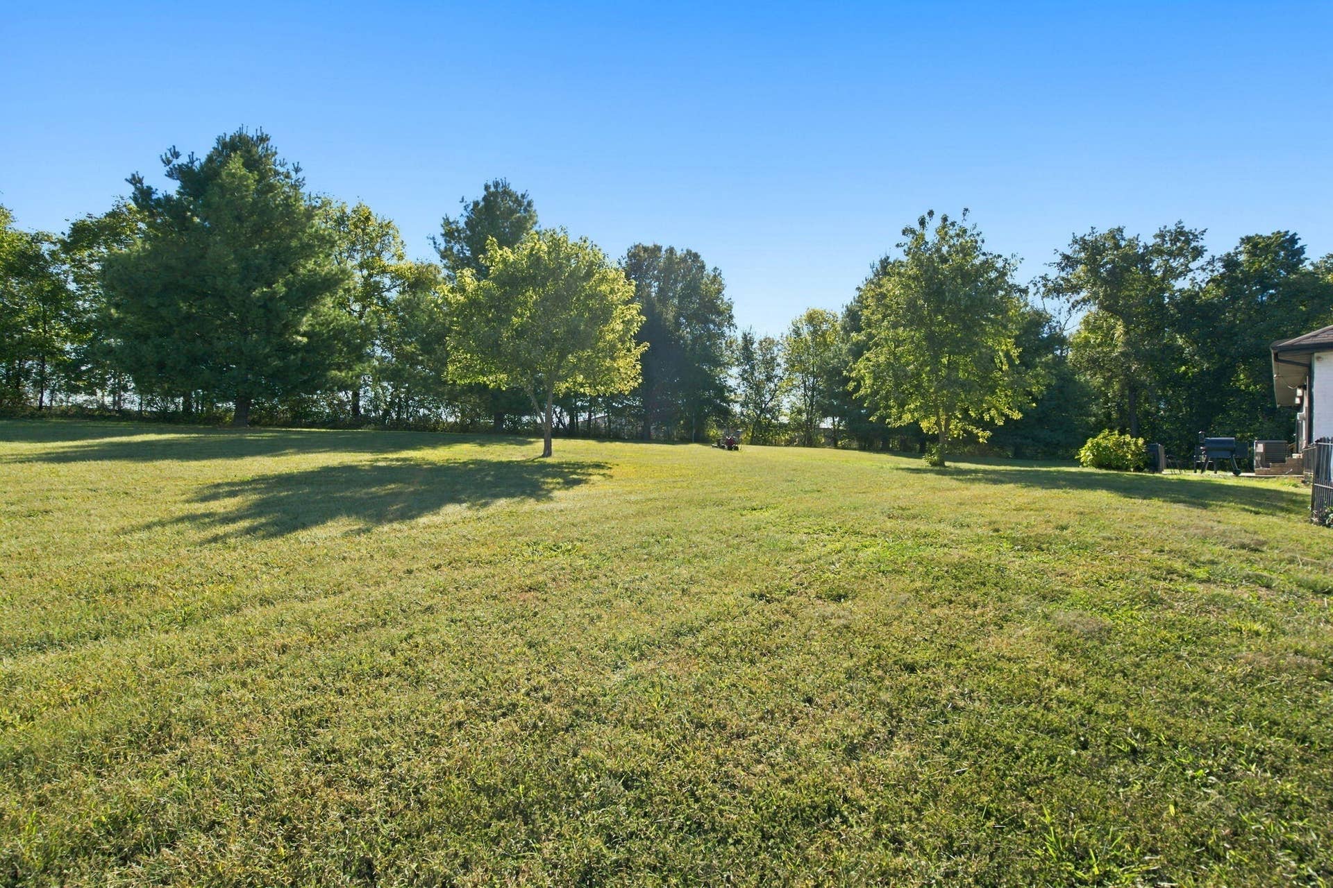 35-web-or-mls-DSC06414