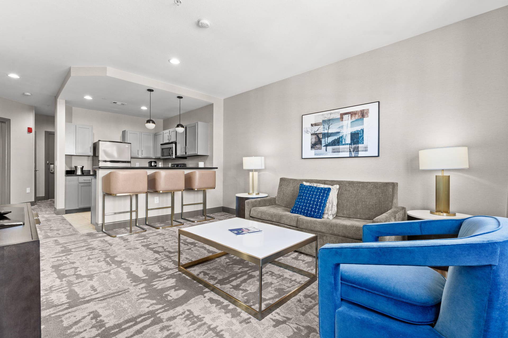 2515 A Branson Landing Boulevard, Branson, MO 65616 6-web-or-mls-DSC09649