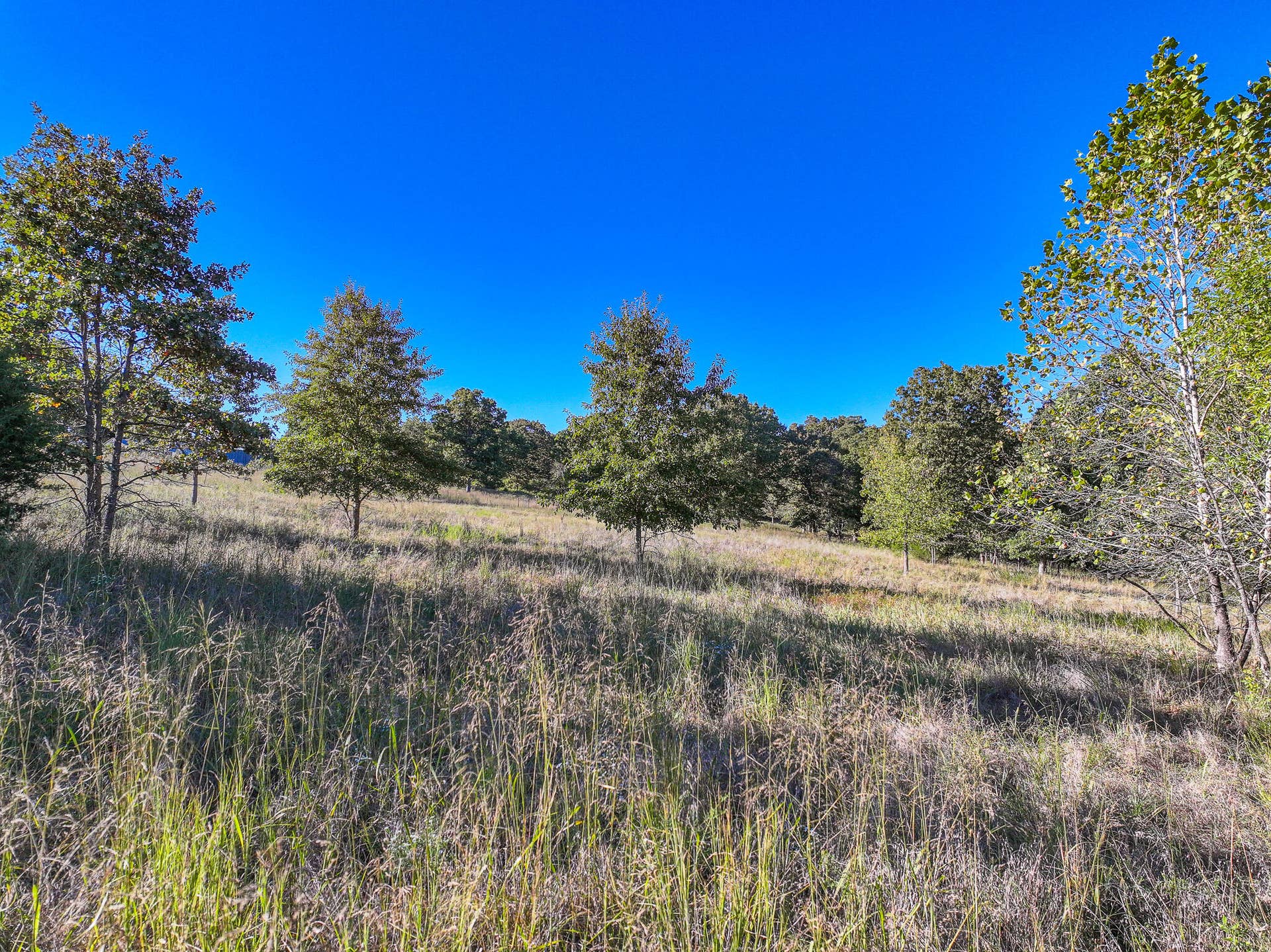 000 S 2125 Road, Stockton, MO 65785 DJI_20261005152925_0351_D