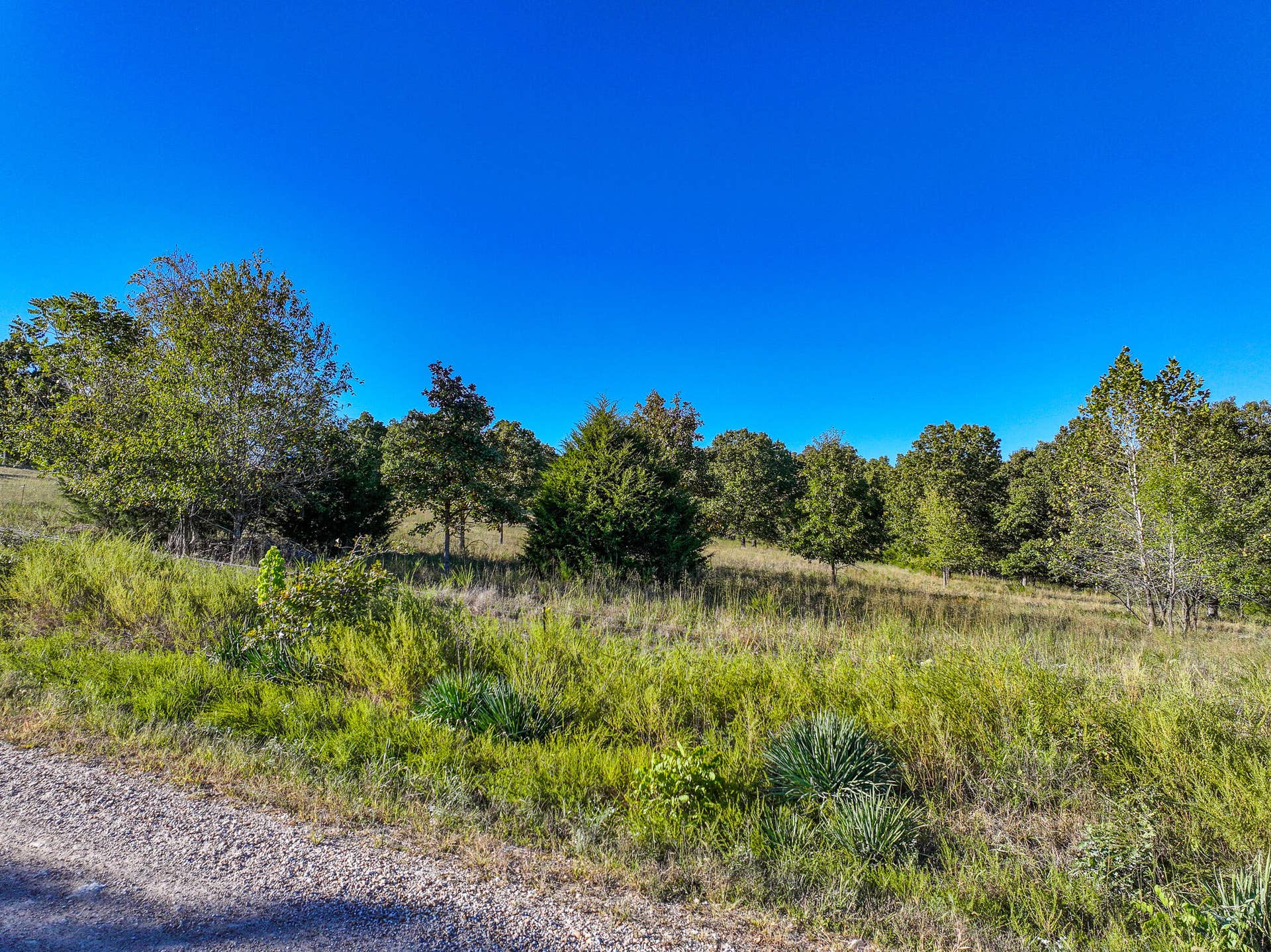 000 S 2125 Road, Stockton, MO 65785 DJI_20261005152912_0348_D