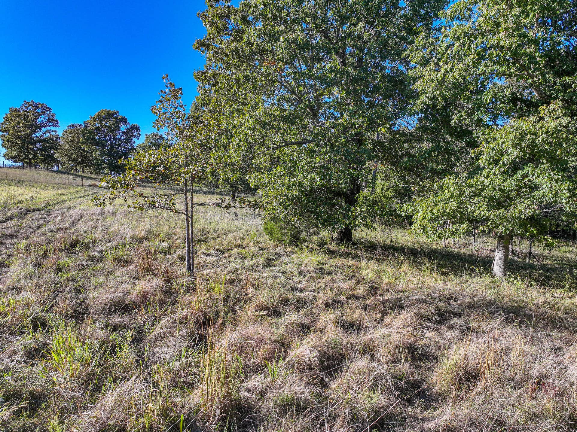 000 S 2125 Road, Stockton, MO 65785 DJI_20261005153004_0356_D