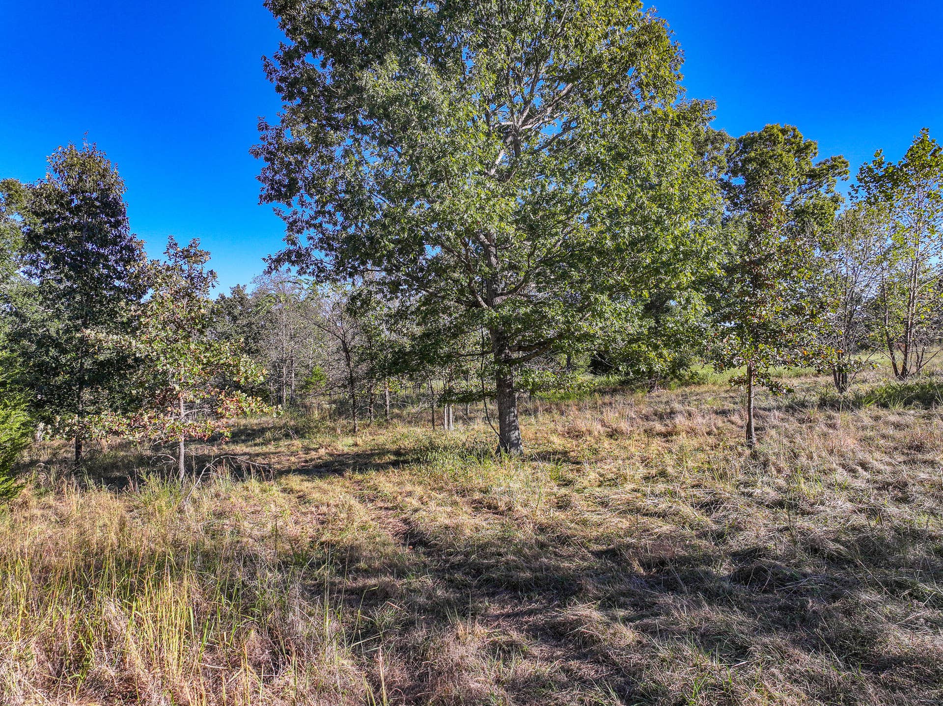 000 S 2125 Road, Stockton, MO 65785 DJI_20261005153009_0357_D
