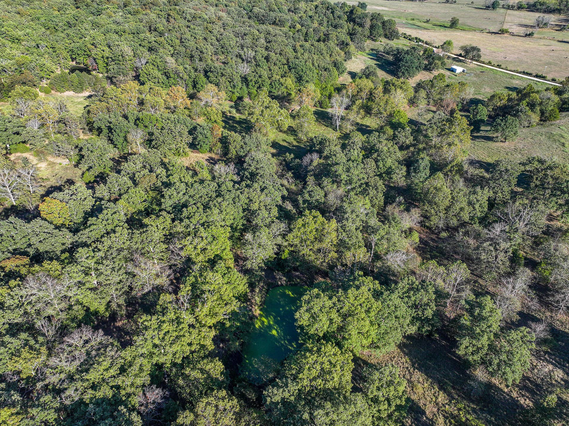 000 S 2125 Road, Stockton, MO 65785 DJI_20261005152818_0346_D