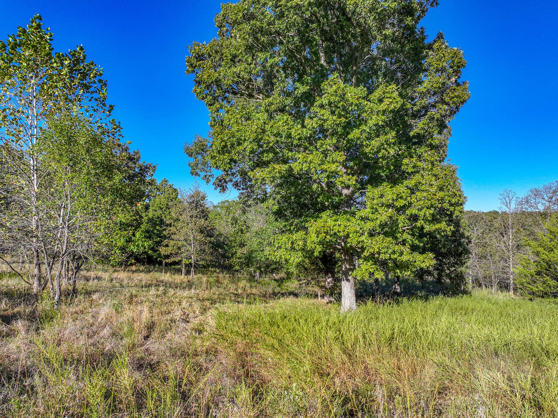 000 S 2125 Road, Stockton, MO 65785 DJI_20261005152923_0350_D