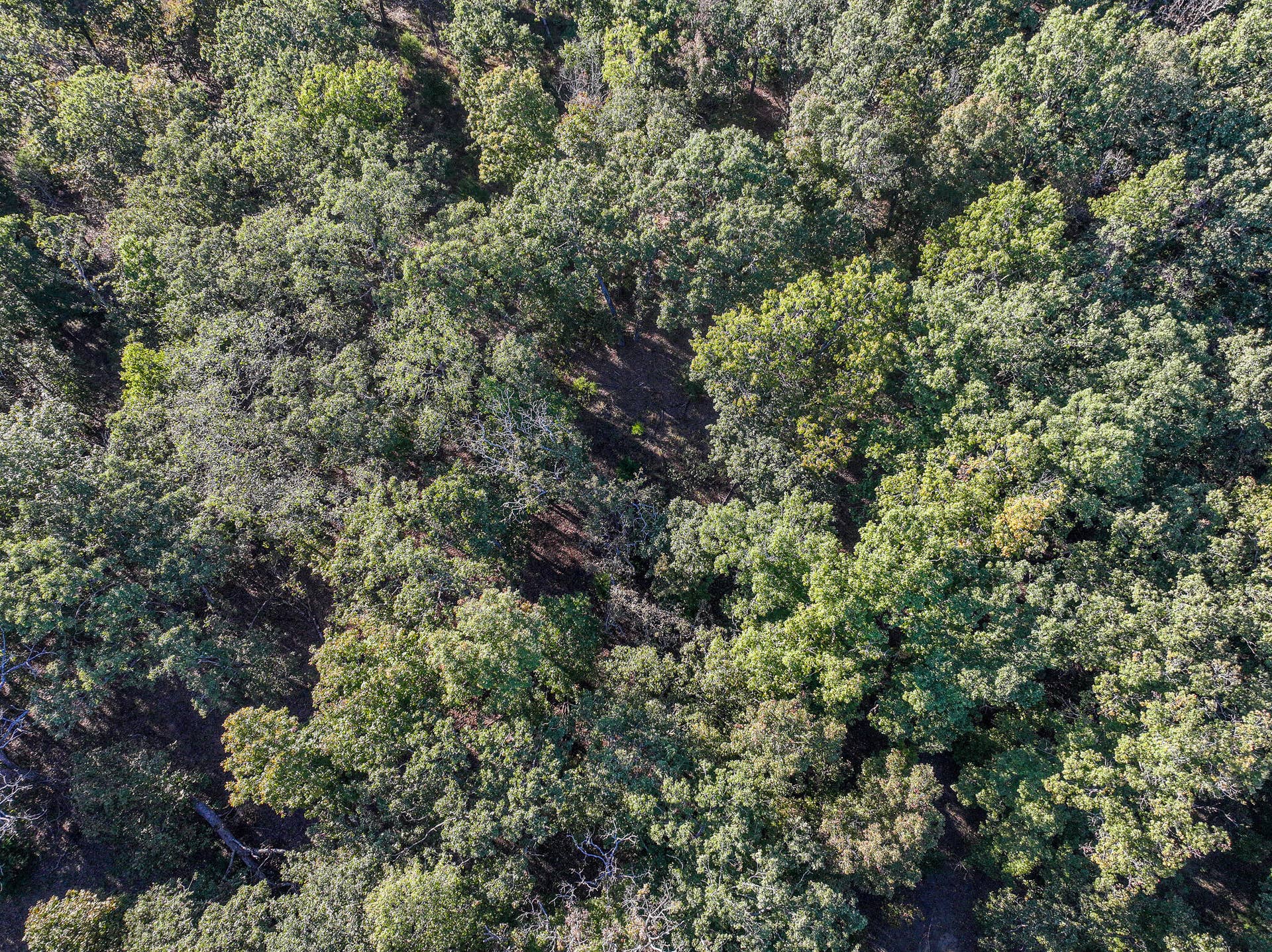 000 S 2125 Road, Stockton, MO 65785 DJI_20261005152604_0337_D